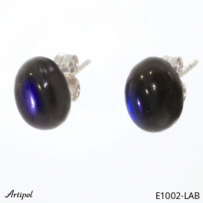 Silver and Vermeil earrings